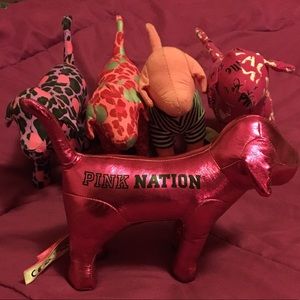 5 PINK dogs